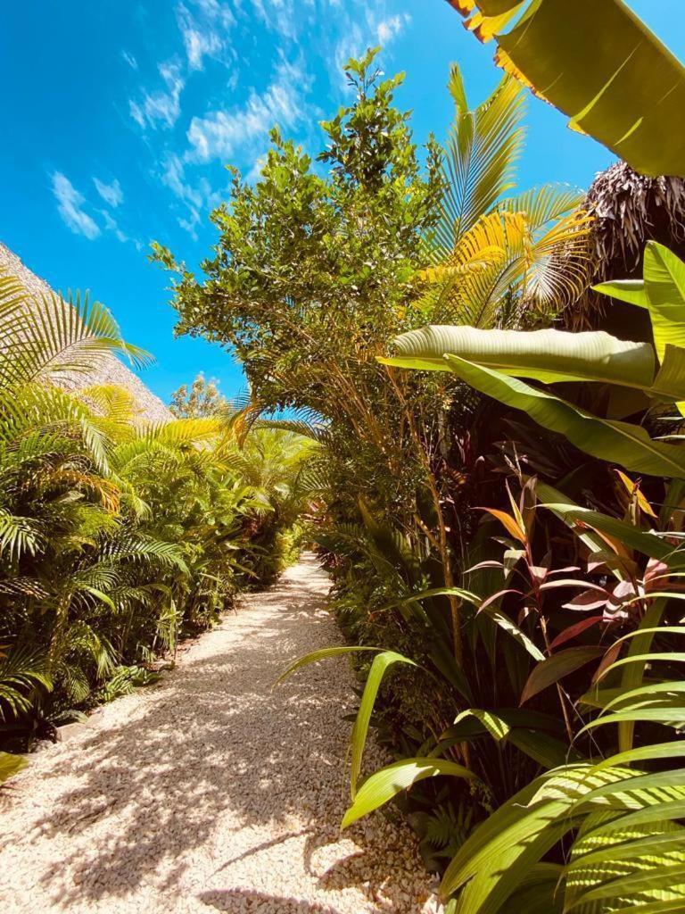 Villas Argan Playa Santa Teresa  Eksteriør billede